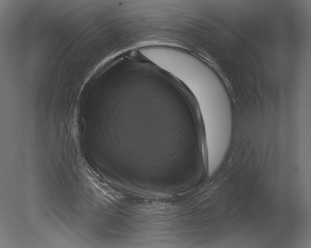 X0000080690387200701121731