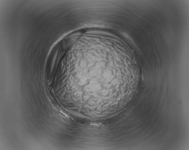 X0000080690388200701121731