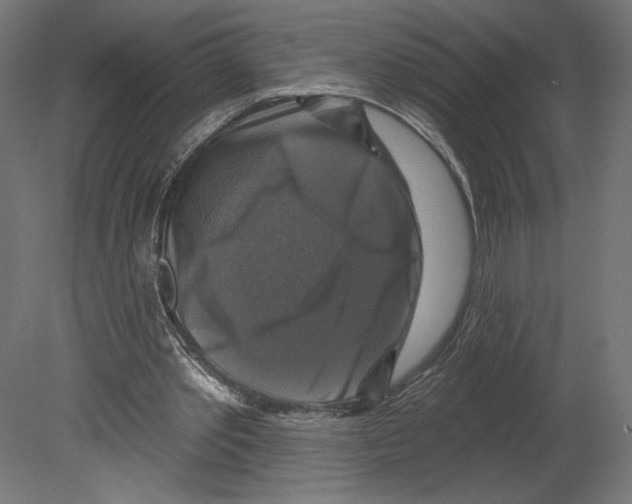 X0000080690389200701121730