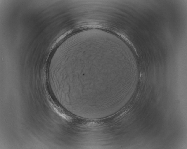 X0000080690390200701121730