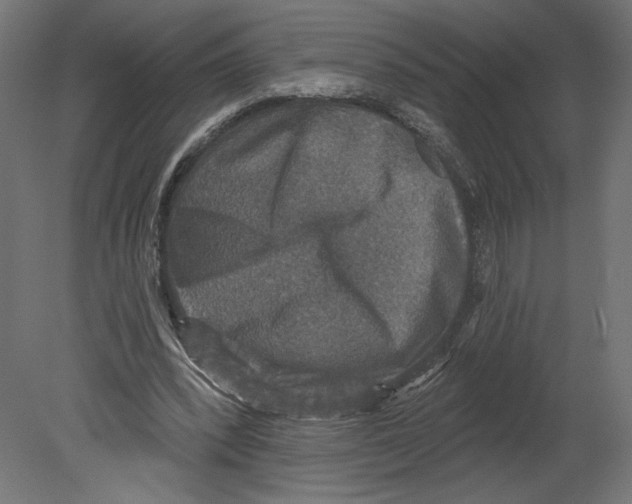 X0000080690392200701121730