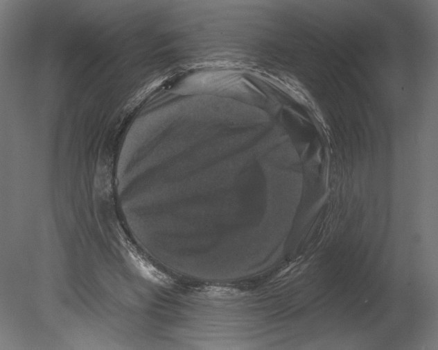 X0000080690393200701121730