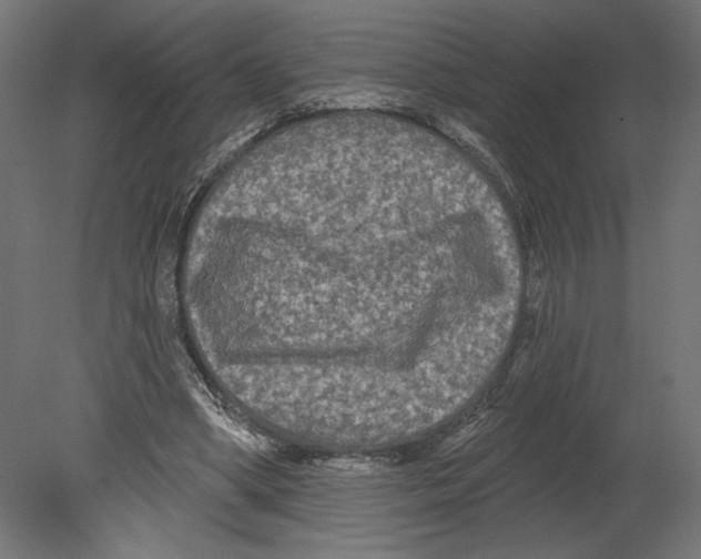 X0000080690394200701121730