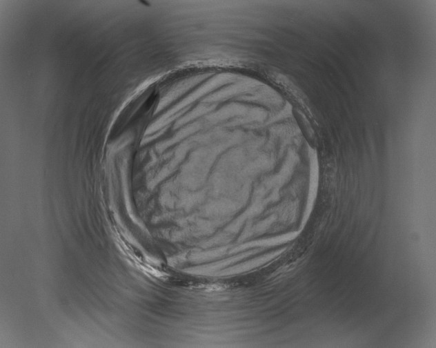 X0000080690395200701121730