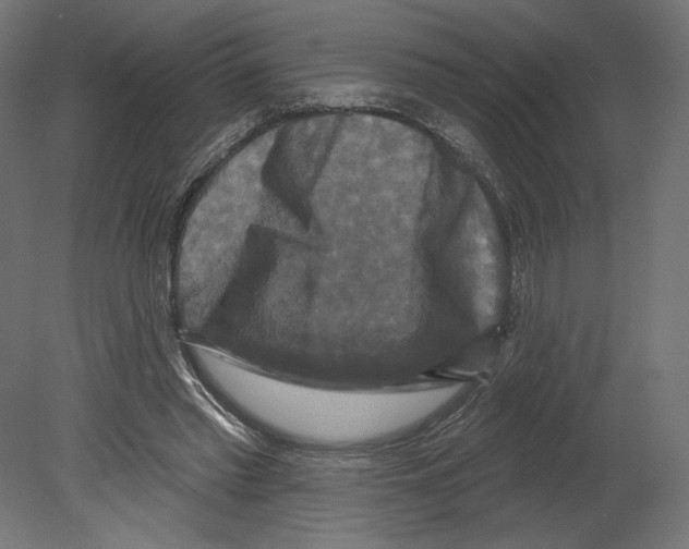 X0000080690397200701121730