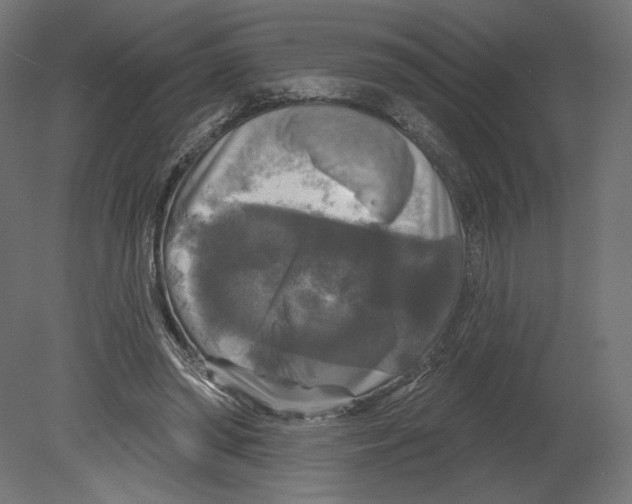 X0000080690398200701121730