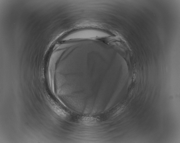 X0000080690399200701121730