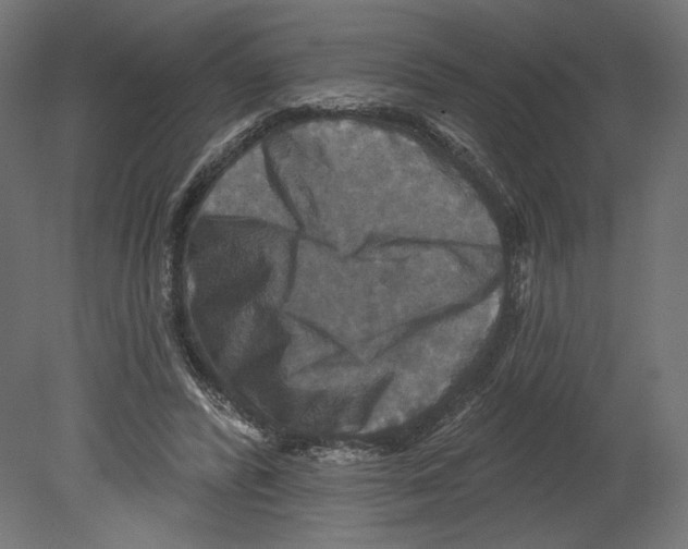 X0000080690400200701121730