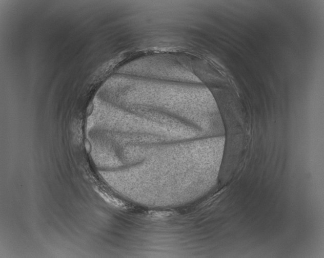 X0000080690401200701121730