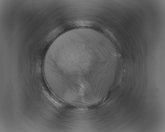 X0000080690402200701121730