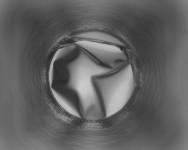 X0000080690403200701121730