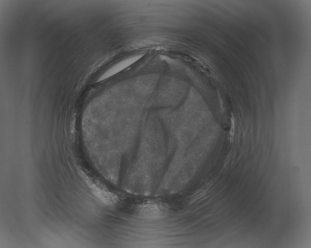 X0000080690404200701121730