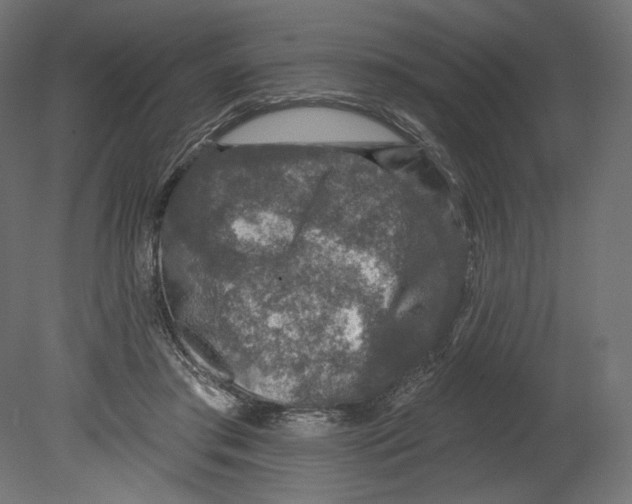 X0000080690405200701121730