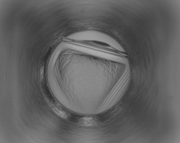 X0000080690406200701121730