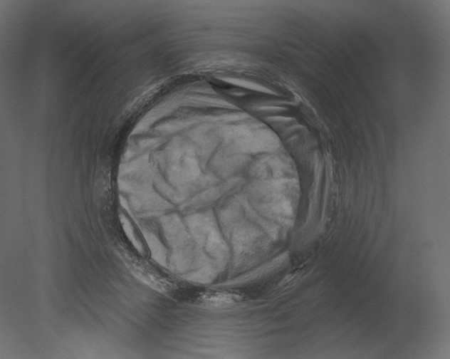 X0000080690407200701121730