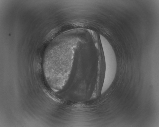 X0000080690408200701121730