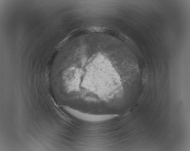 X0000080690409200701121730