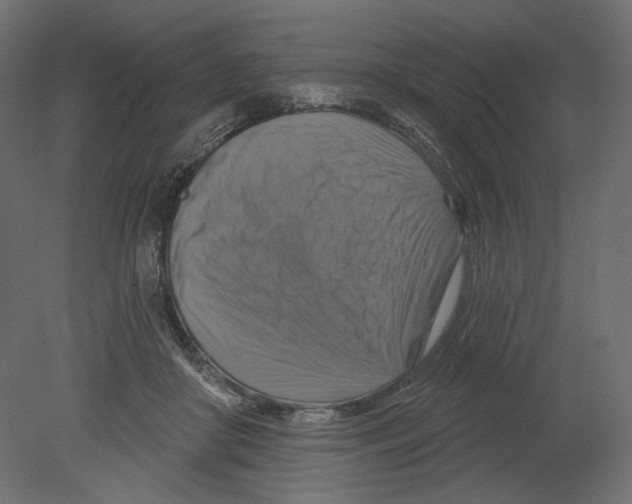 X0000080690410200701121730