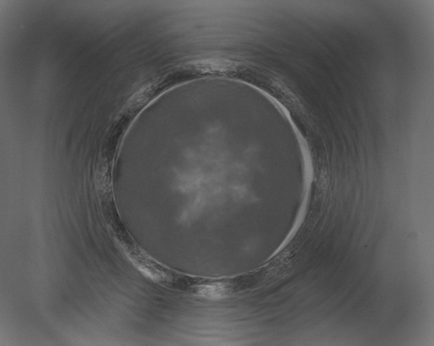 X0000080690411200701121730