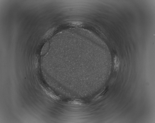 X0000080690412200701121730