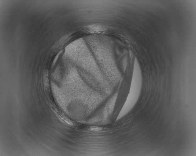 X0000080690413200701121730