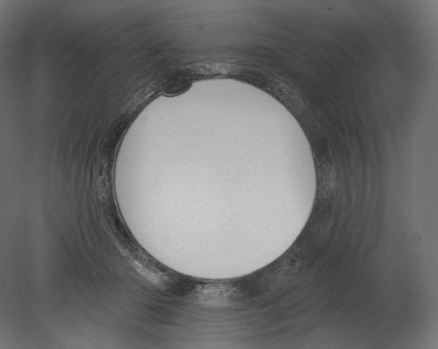 X0000080690414200701121730