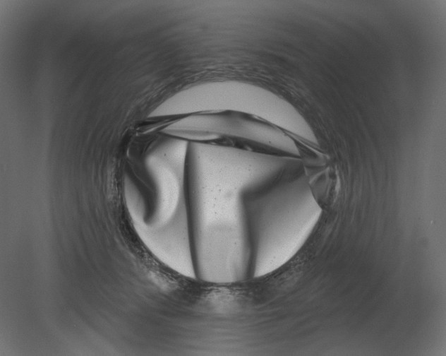 X0000080690416200701121730