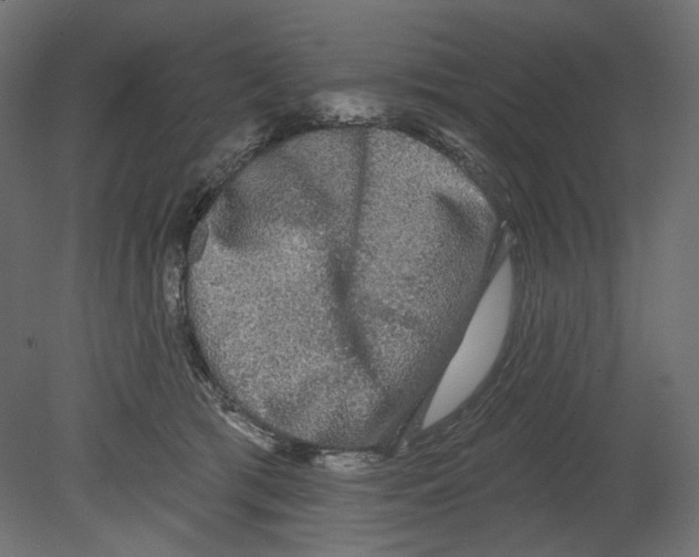 X0000080690417200701121730