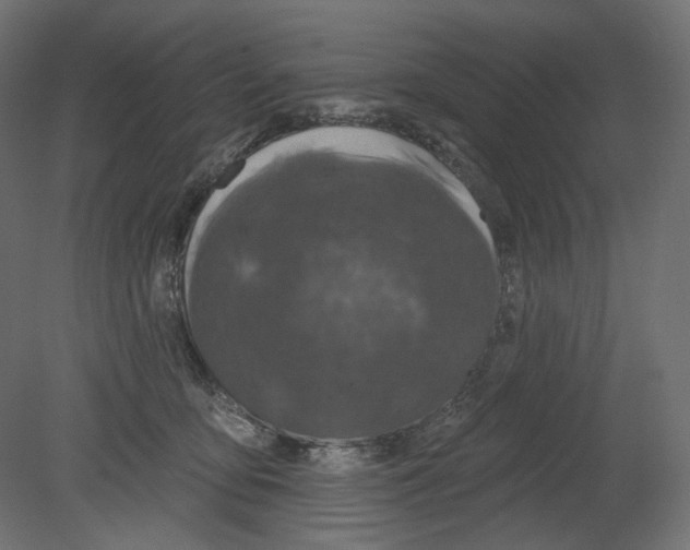 X0000080690419200701121730