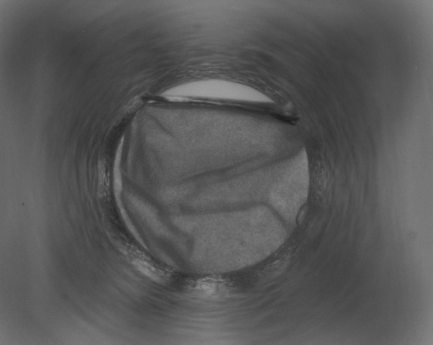 X0000080690420200701121730