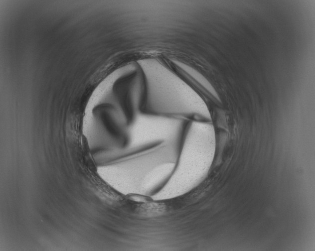 X0000080690421200701121730