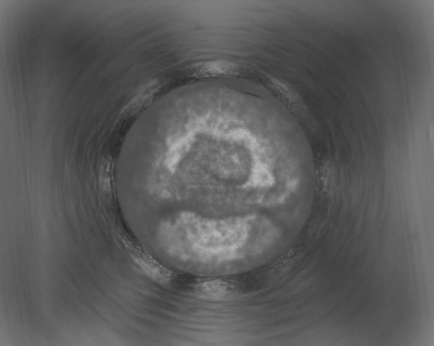 X0000080690423200701121730