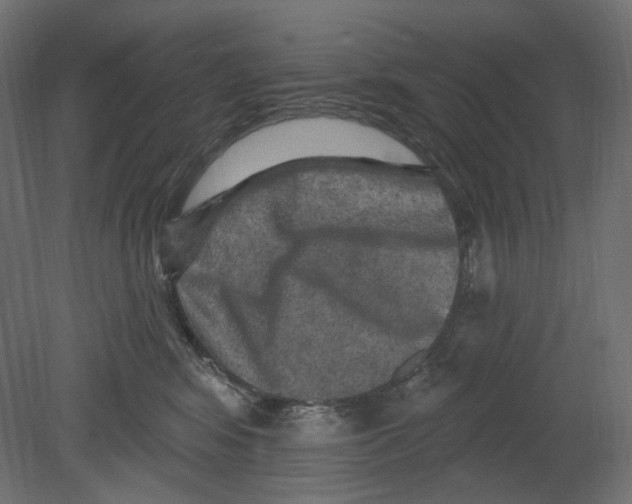 X0000080690424200701121730