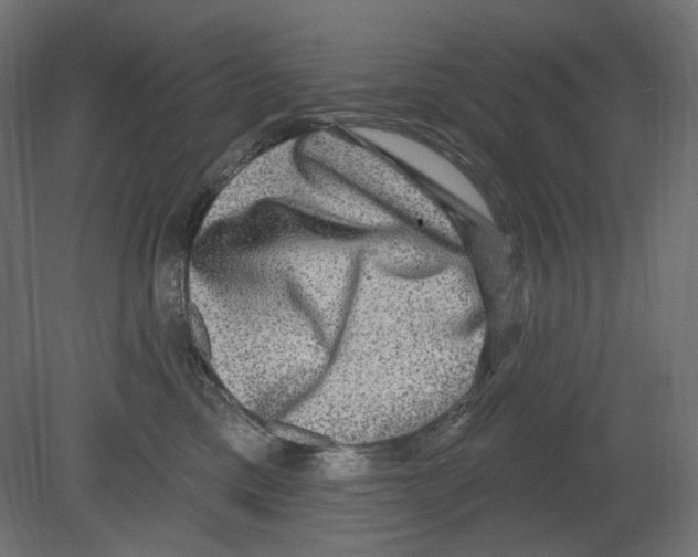 X0000080690425200701121730