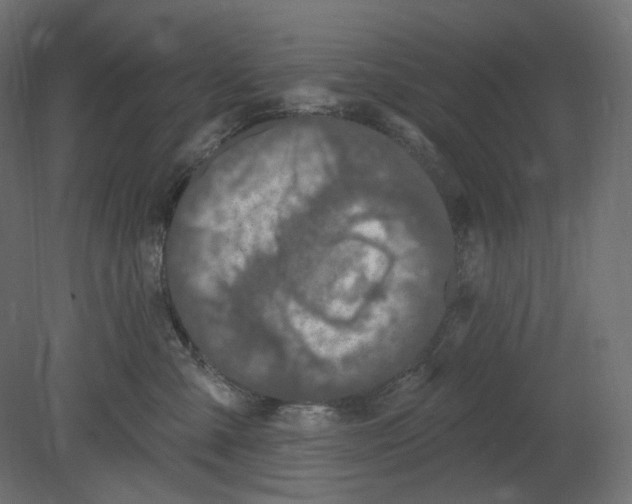 X0000080690427200701121730