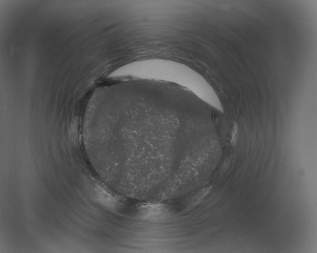 X0000080690428200701121730