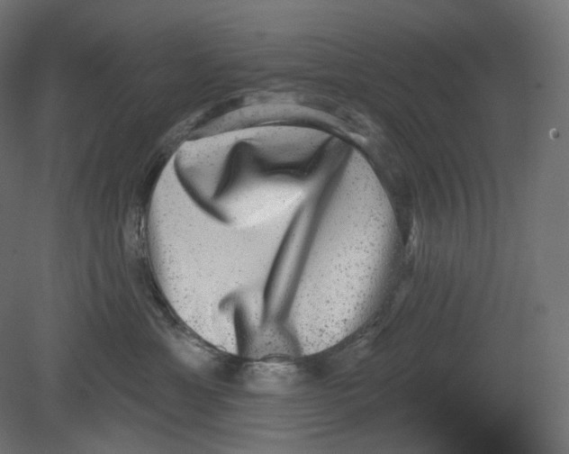 X0000080690429200701121730