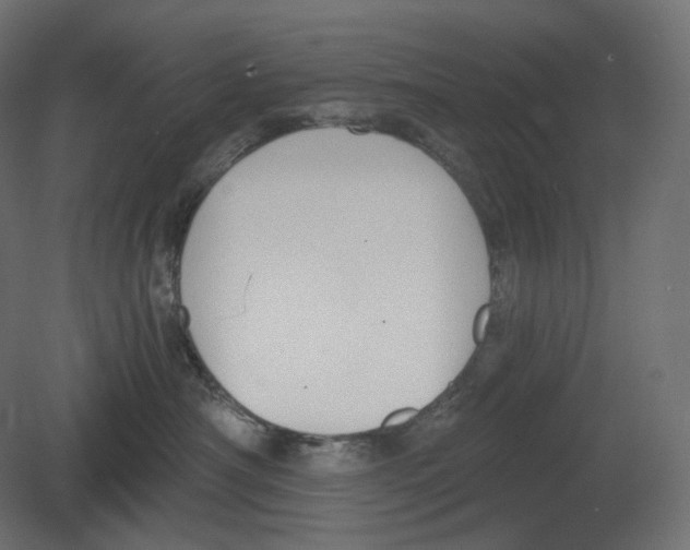 X0000080690430200701121730