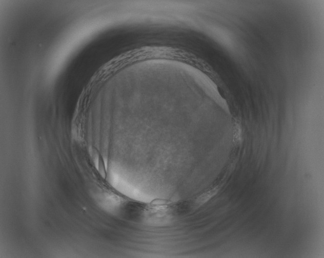 X0000080690431200701121730