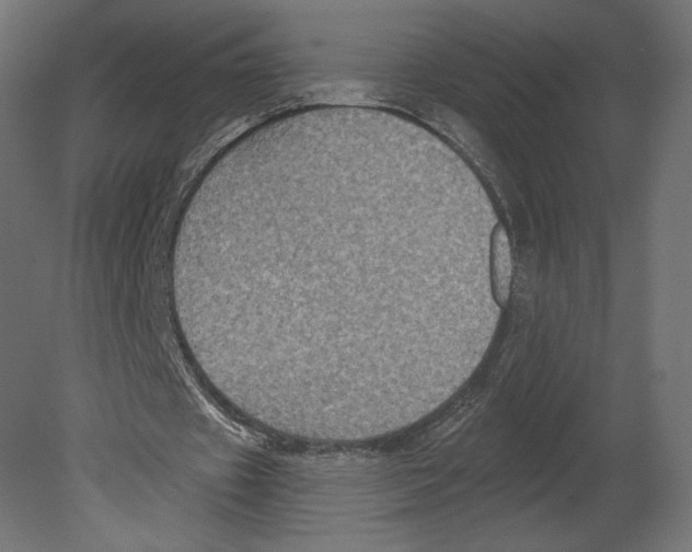 X0000080690433200701121729