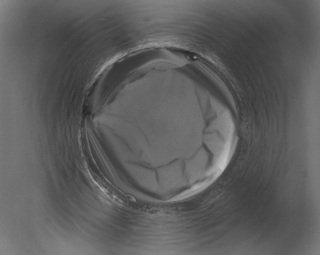 X0000080690434200701121729