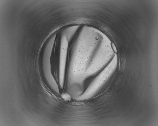 X0000080690435200701121729