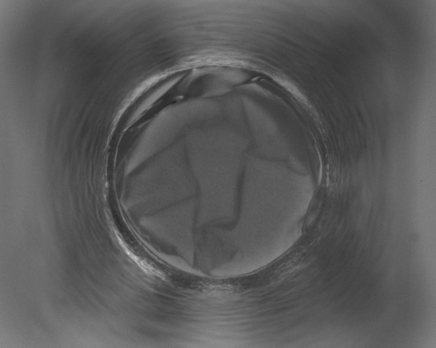 X0000080690438200701121729