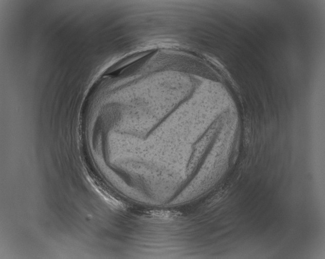 X0000080690439200701121729