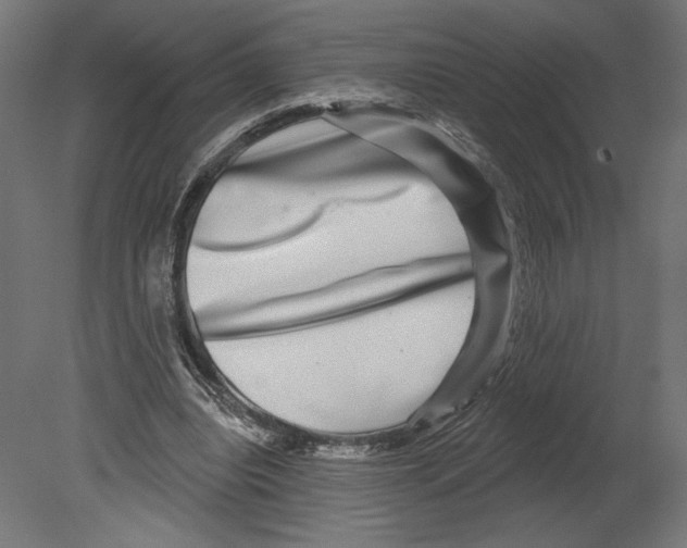 X0000080690440200701121729