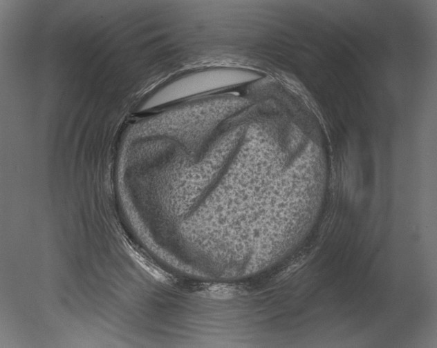 X0000080690441200701121729