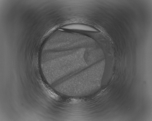 X0000080690442200701121729