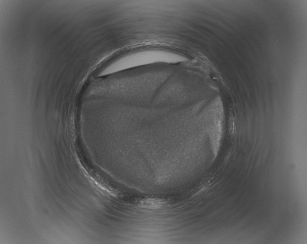 X0000080690444200701121729