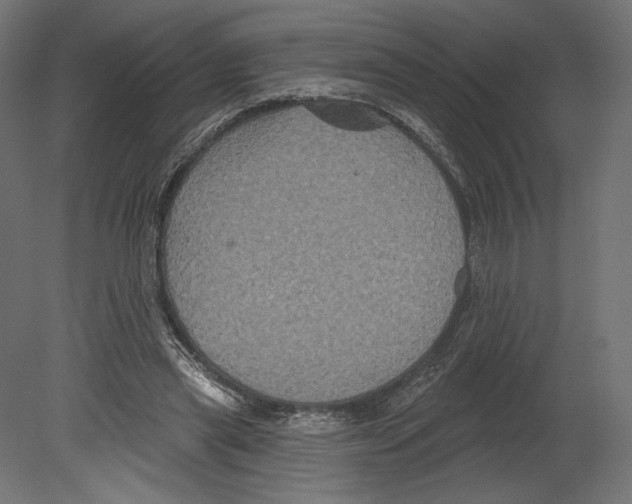 X0000080690445200701121729