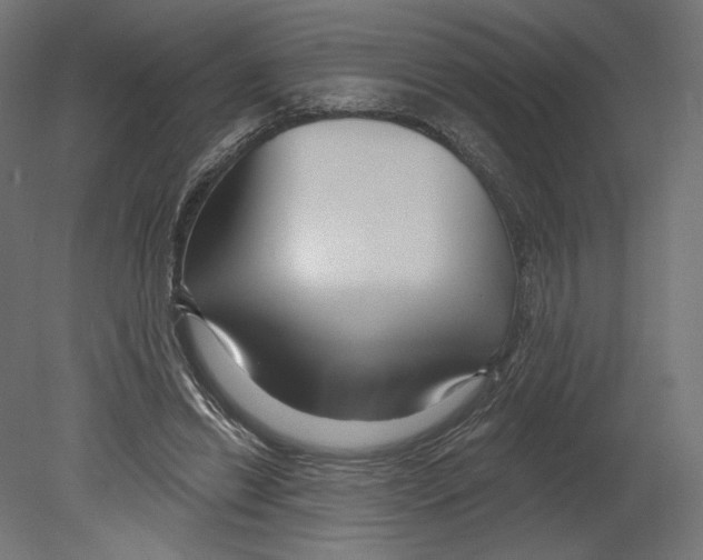 X0000080690446200701121729